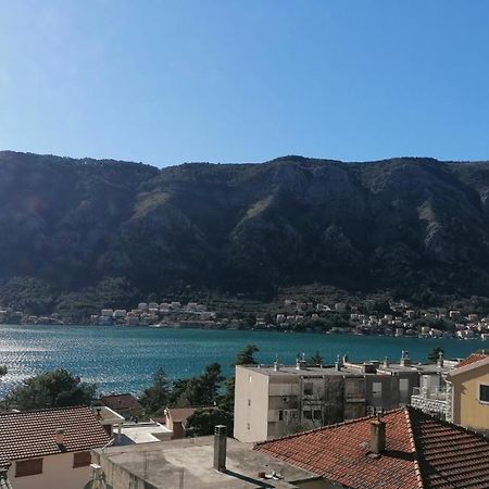Albatros Kotor Exterior foto